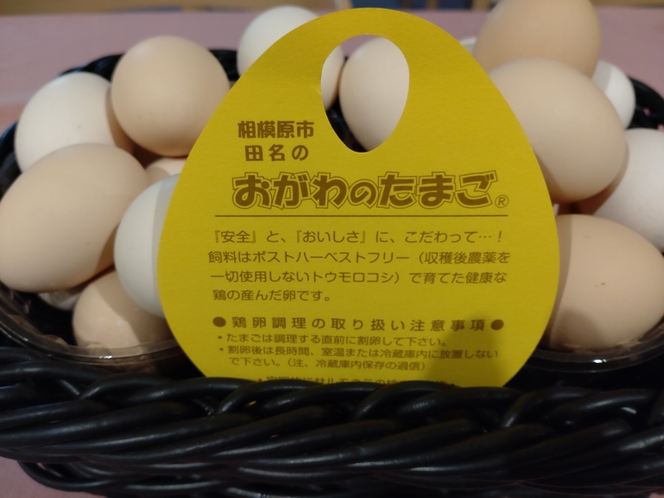 地卵付朝食　橋本の新鮮な卵