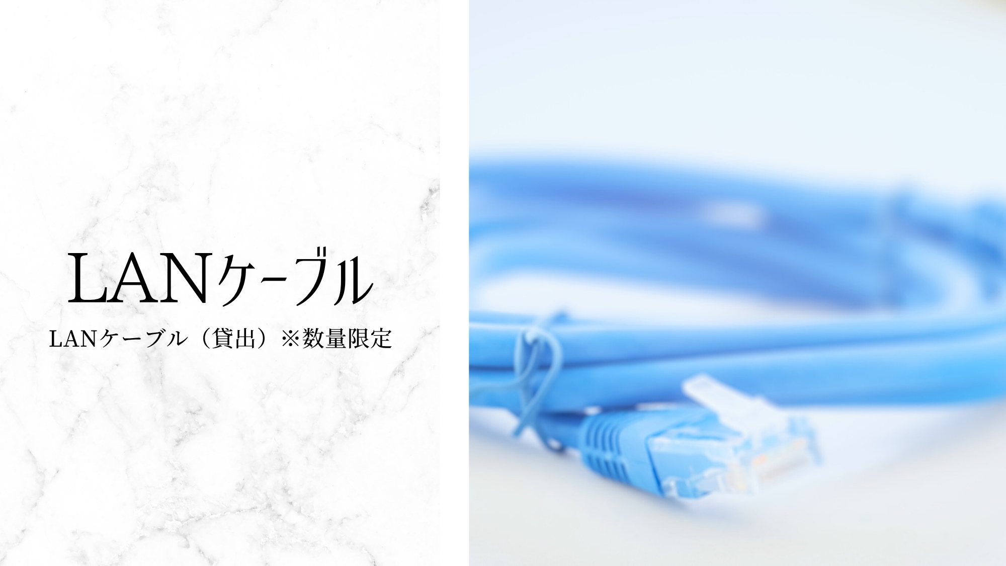 LANケーブル（貸出）※数量限定