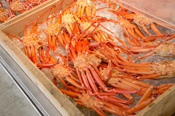 【冬季限定・氷見寒ブリ＆カニ】創作フレンチでお届けする寒ブリ料理の新定番★飲料インクルーシブ特典