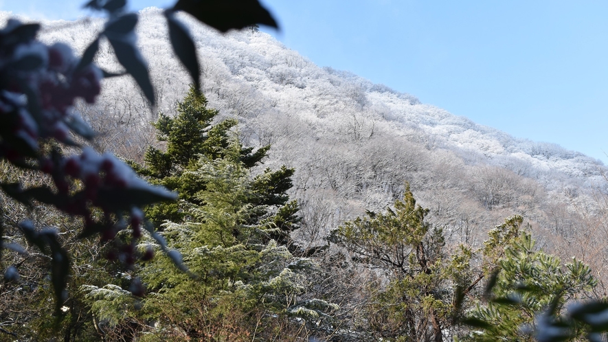 よもぎ山（冬）