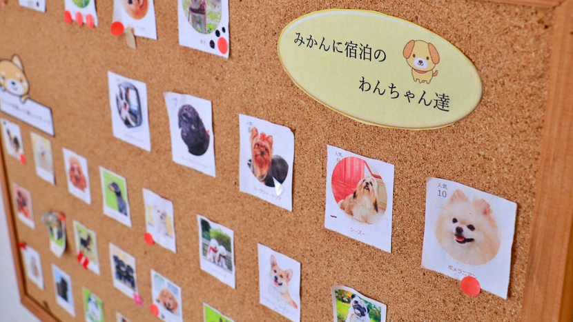 【素泊まり】気軽に島旅｜無人チェックインで自由ステイ