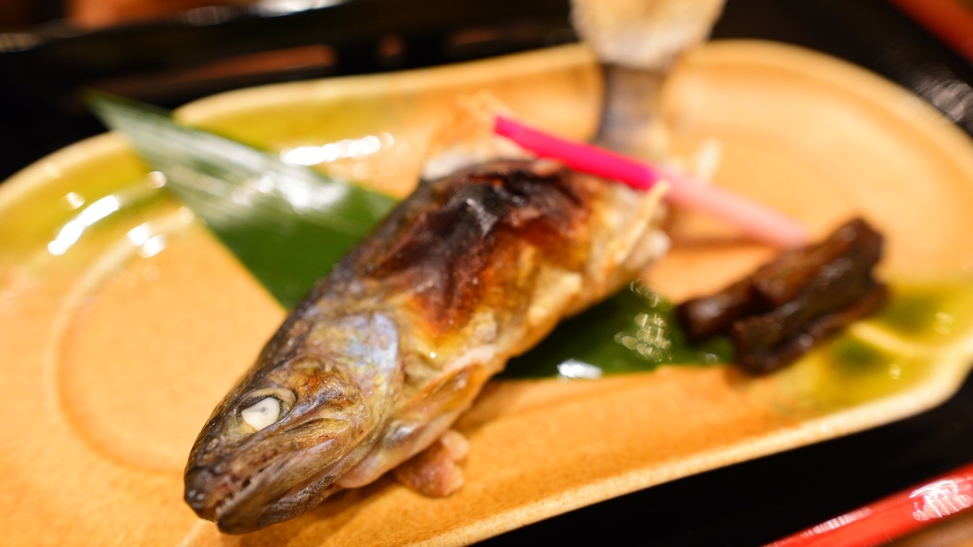 【グレードアップ2食付/松コース】白山の恵みを味わい尽くす！贅沢な夕食と天然温泉を堪能★