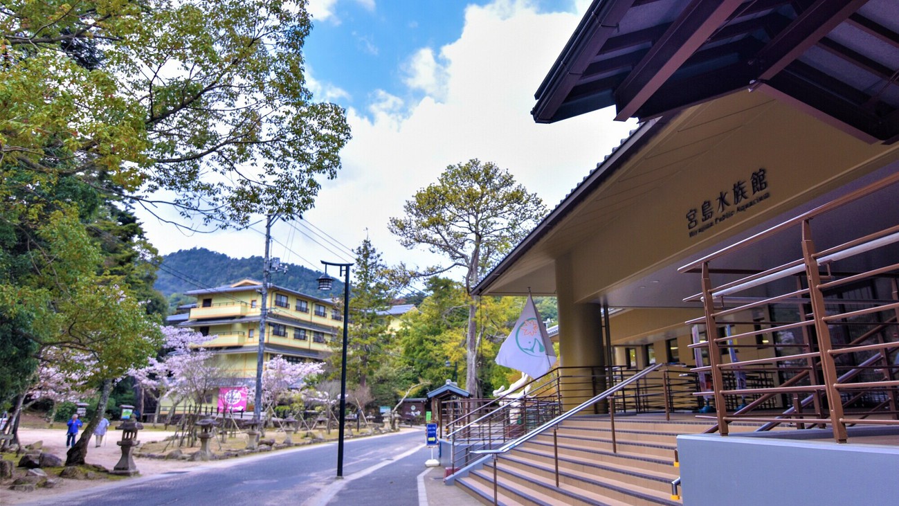《宮島水族館》30秒で海の世界へダイブ！