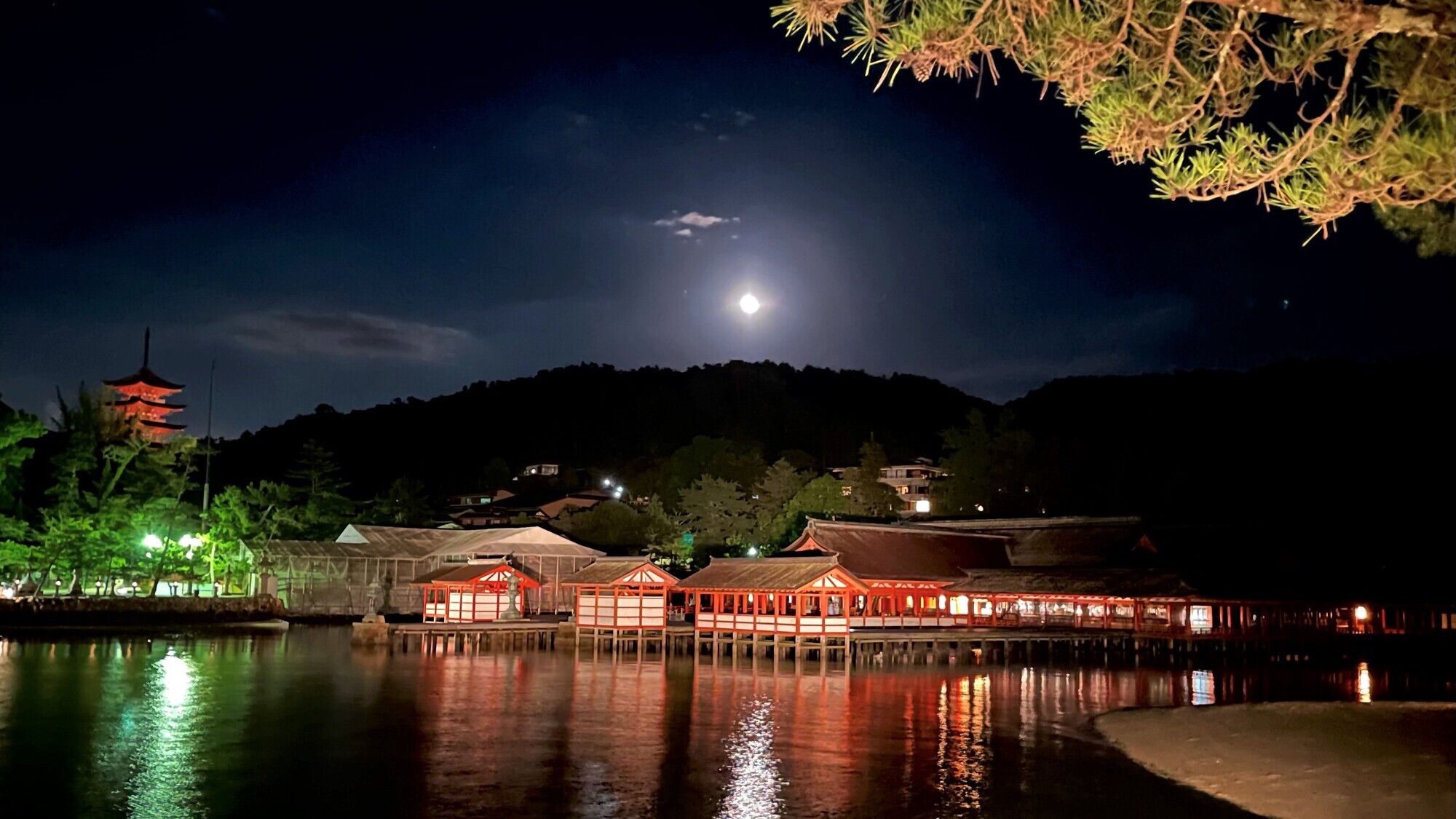 《ライトアップ》幻想的な夜の海に浮かぶ嚴島神社