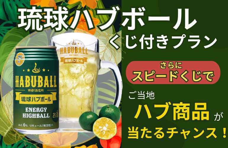  琉球ハブボール＆くじ付きプラン【素泊まり】