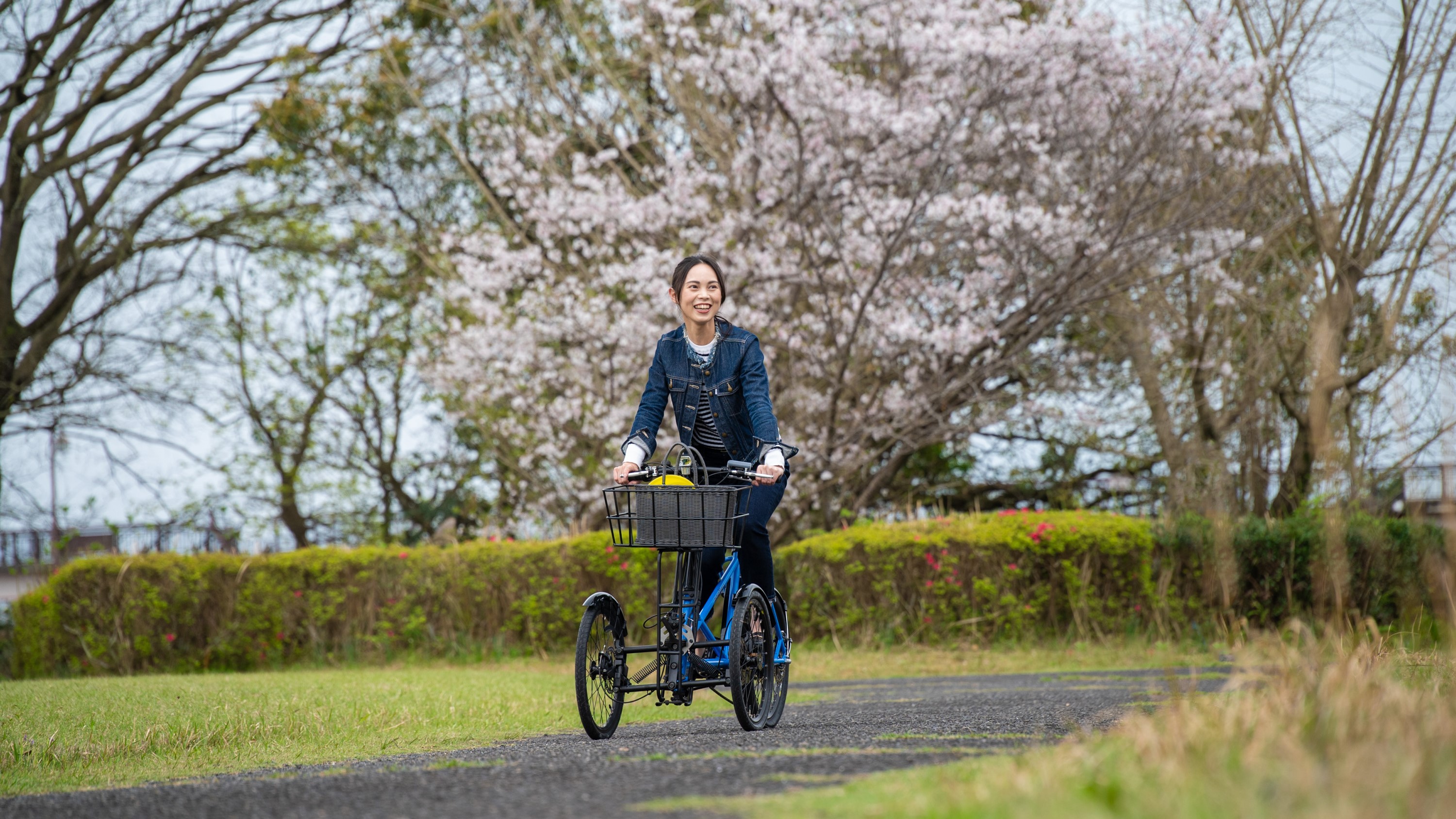 レンタサイクル