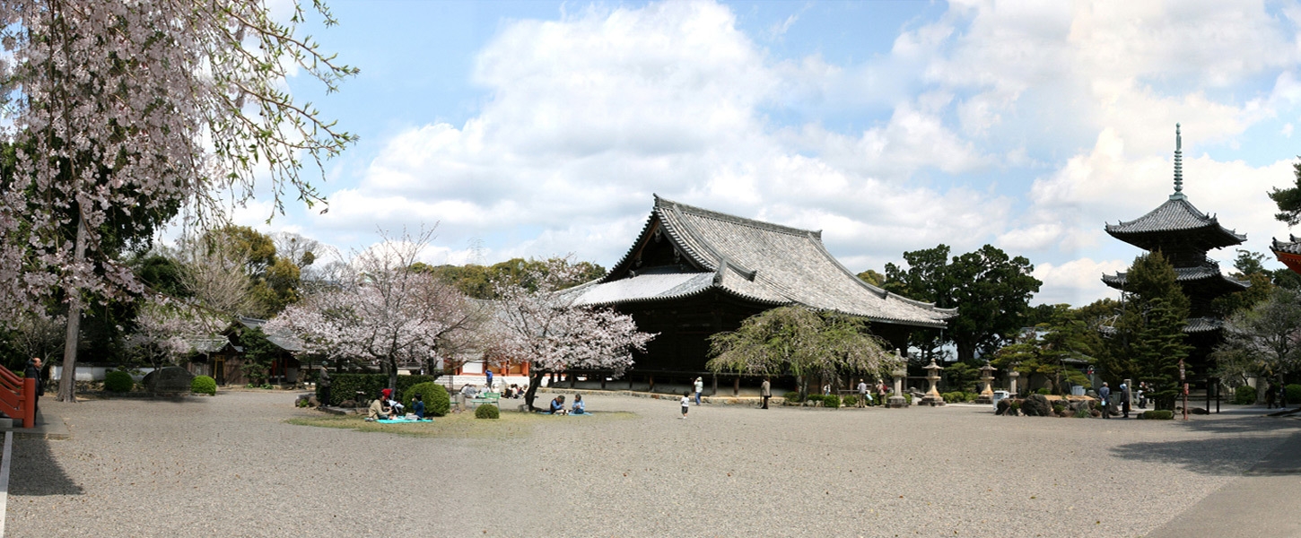 [1泊2食付き]一棟貸切　平日限定／送迎付／１２月から実施　 熊野古道と醤油・鰹節のルーツを味わう旅