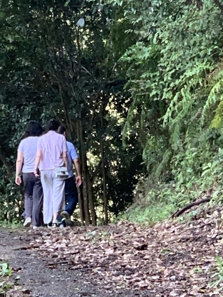 [1泊2食付き]一棟貸切　平日限定／送迎付／１２月から実施　 熊野古道と醤油・鰹節のルーツを味わう旅