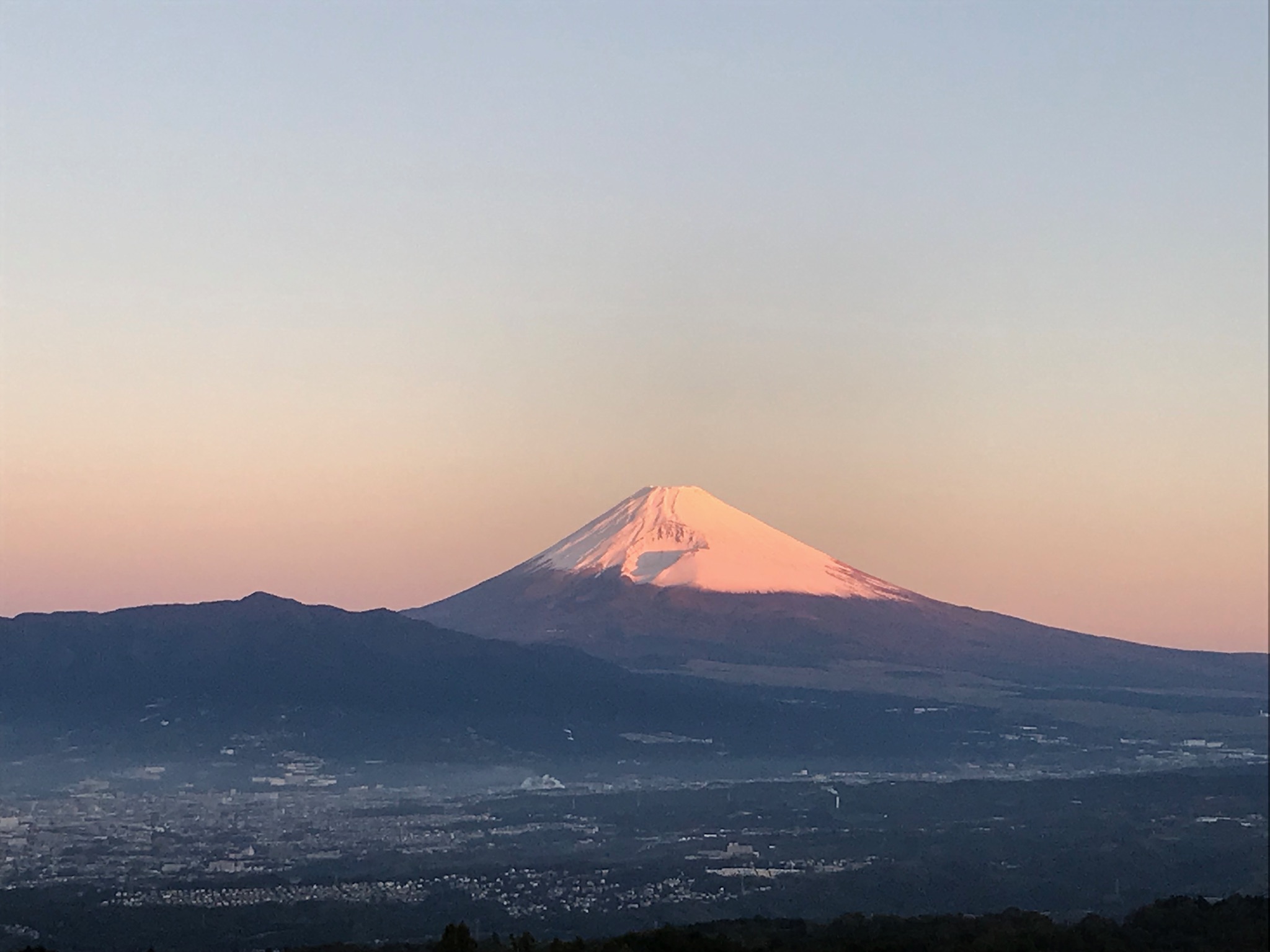 紅富士