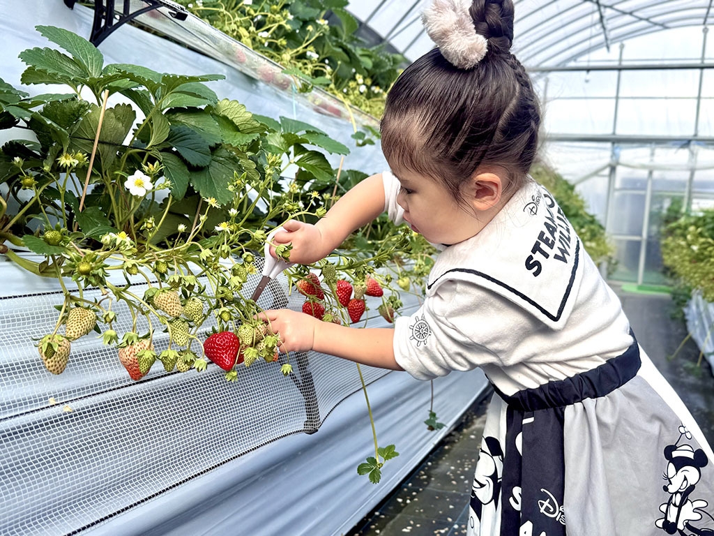 【たっぷり2時間！！5品種のいちご狩り付き】小塩の灯り　素泊まり（食材持ち込み可）プラン