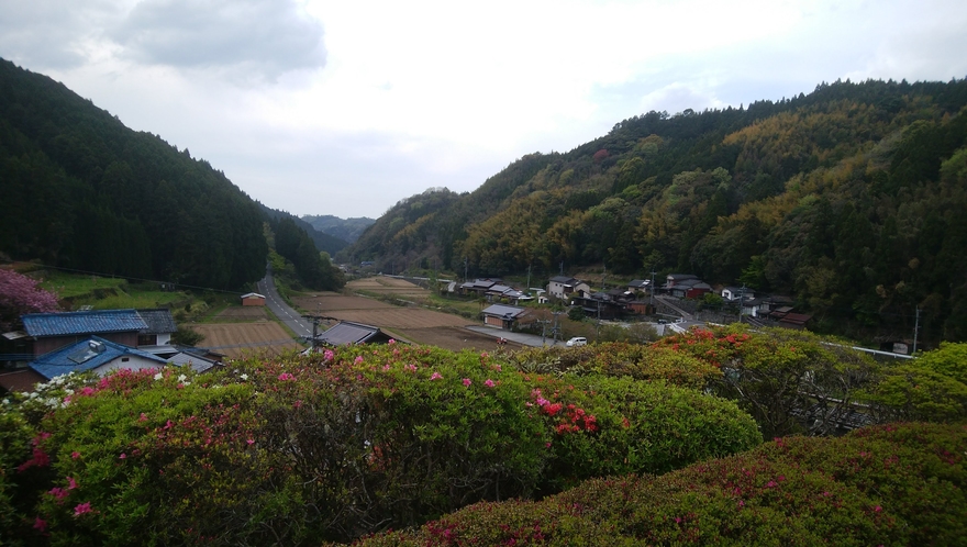 里山の風景