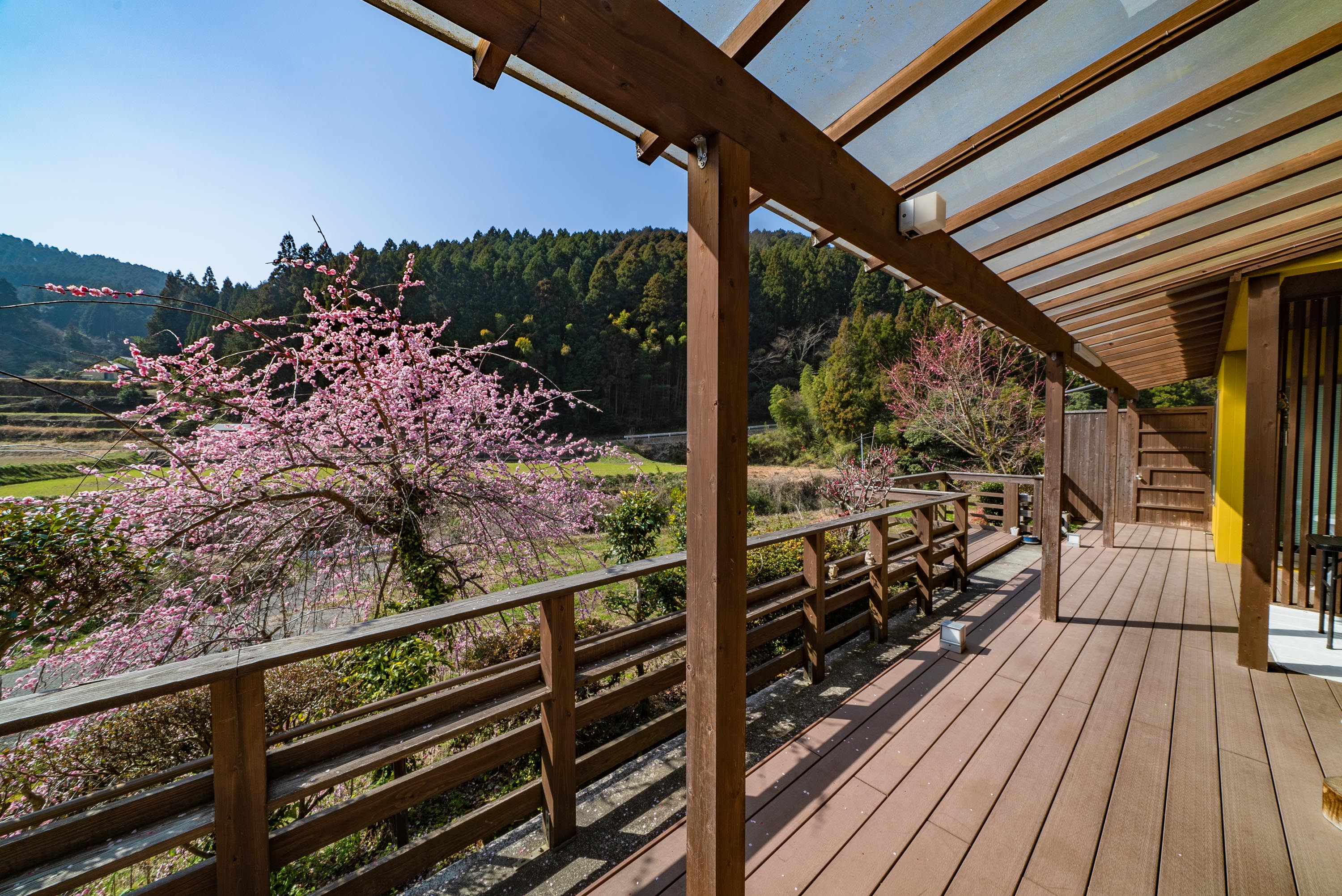 テラスからの眺め