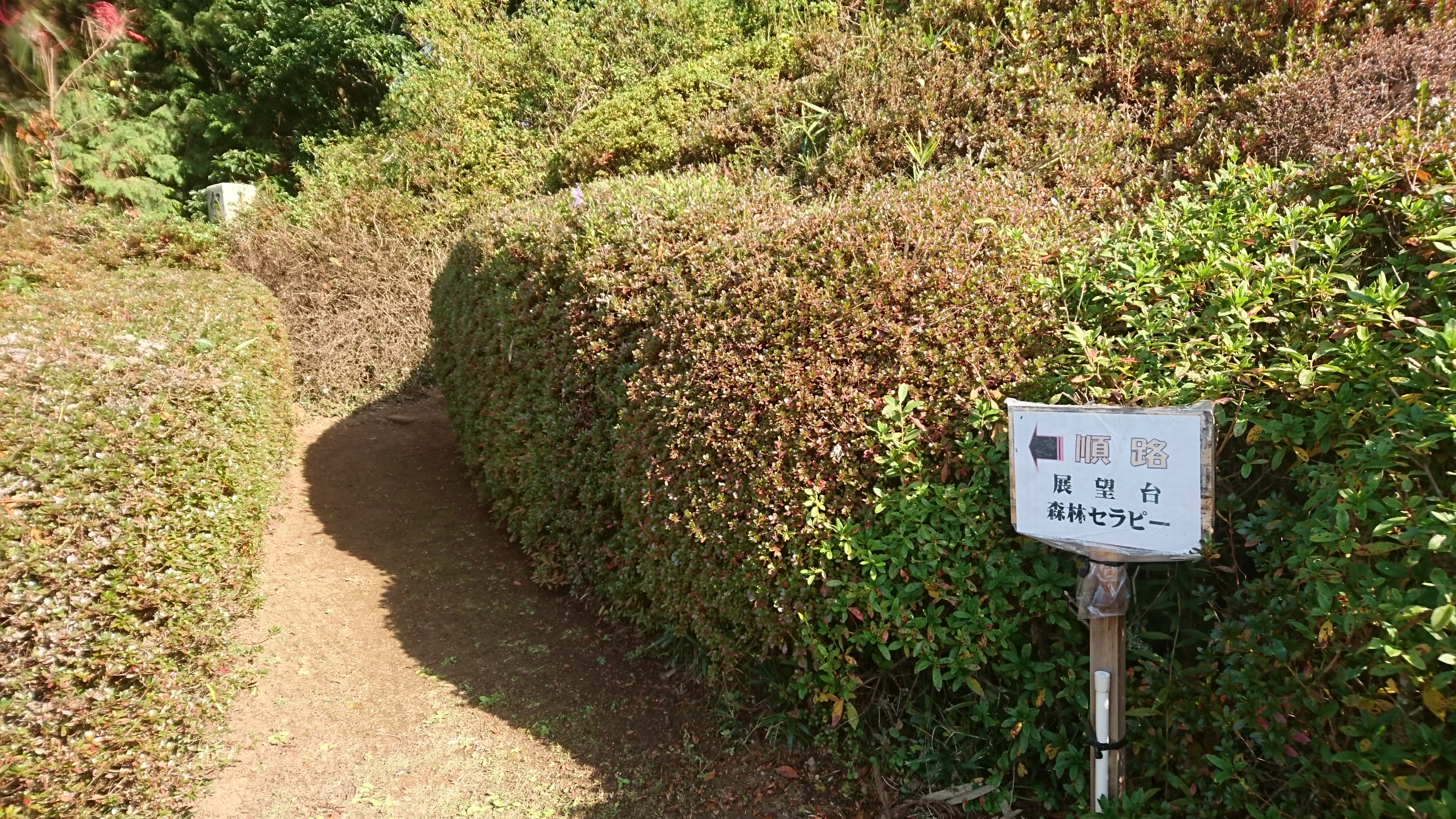 「佐藤家つつじ園」森林セラピー