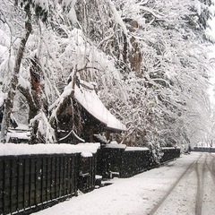 雪と黒塀