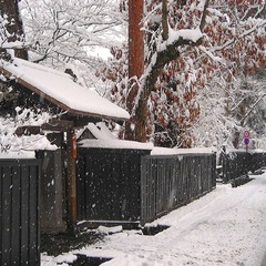 雪と岩橋家黒塀