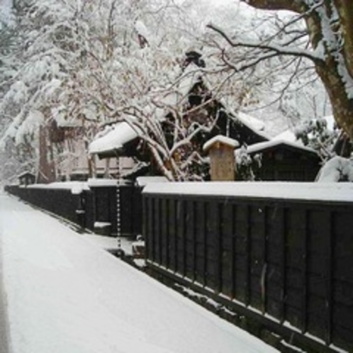 武家屋敷雪と黒塀