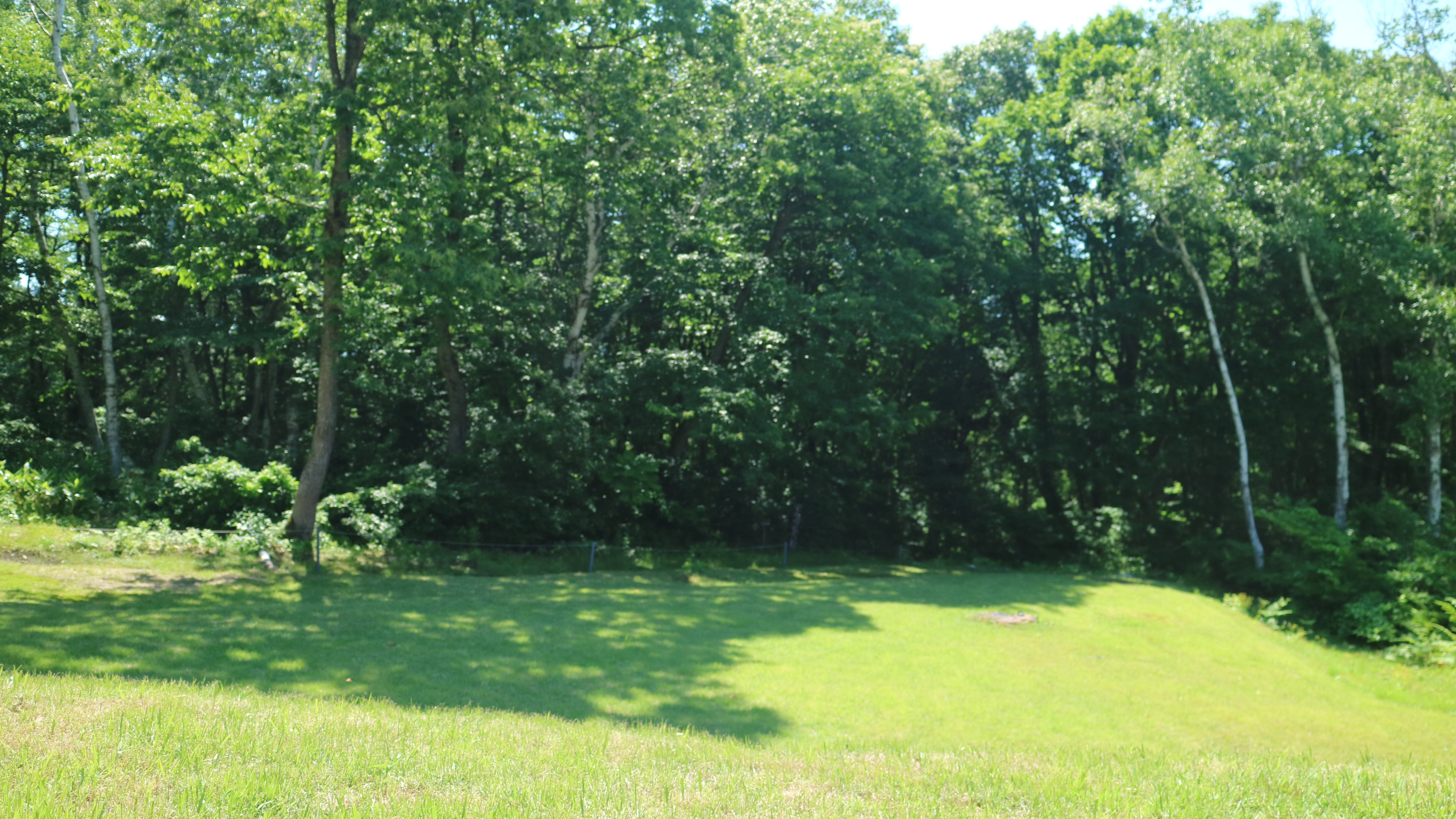 窓から見える庭は季節ごとに違う景色を見せてくれます