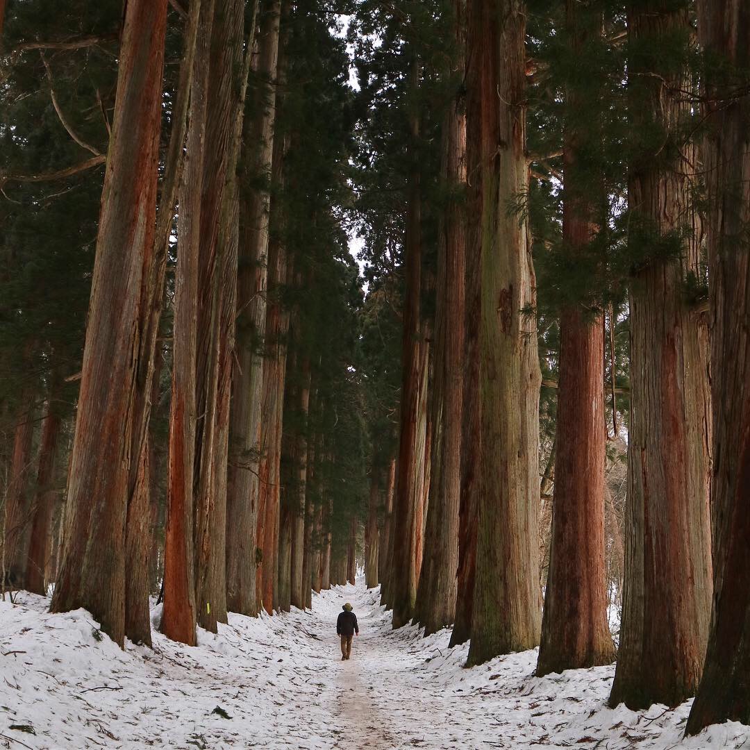 戸隠神社 Togakushi Shurine