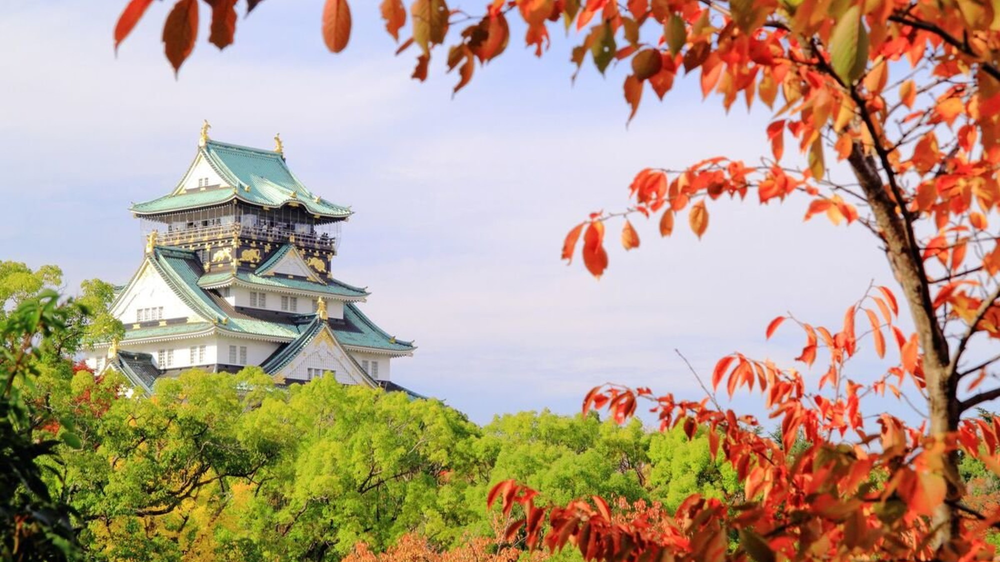 【大阪城】大阪城は大阪のシンボルで、紅葉の名所として知られる名所です。