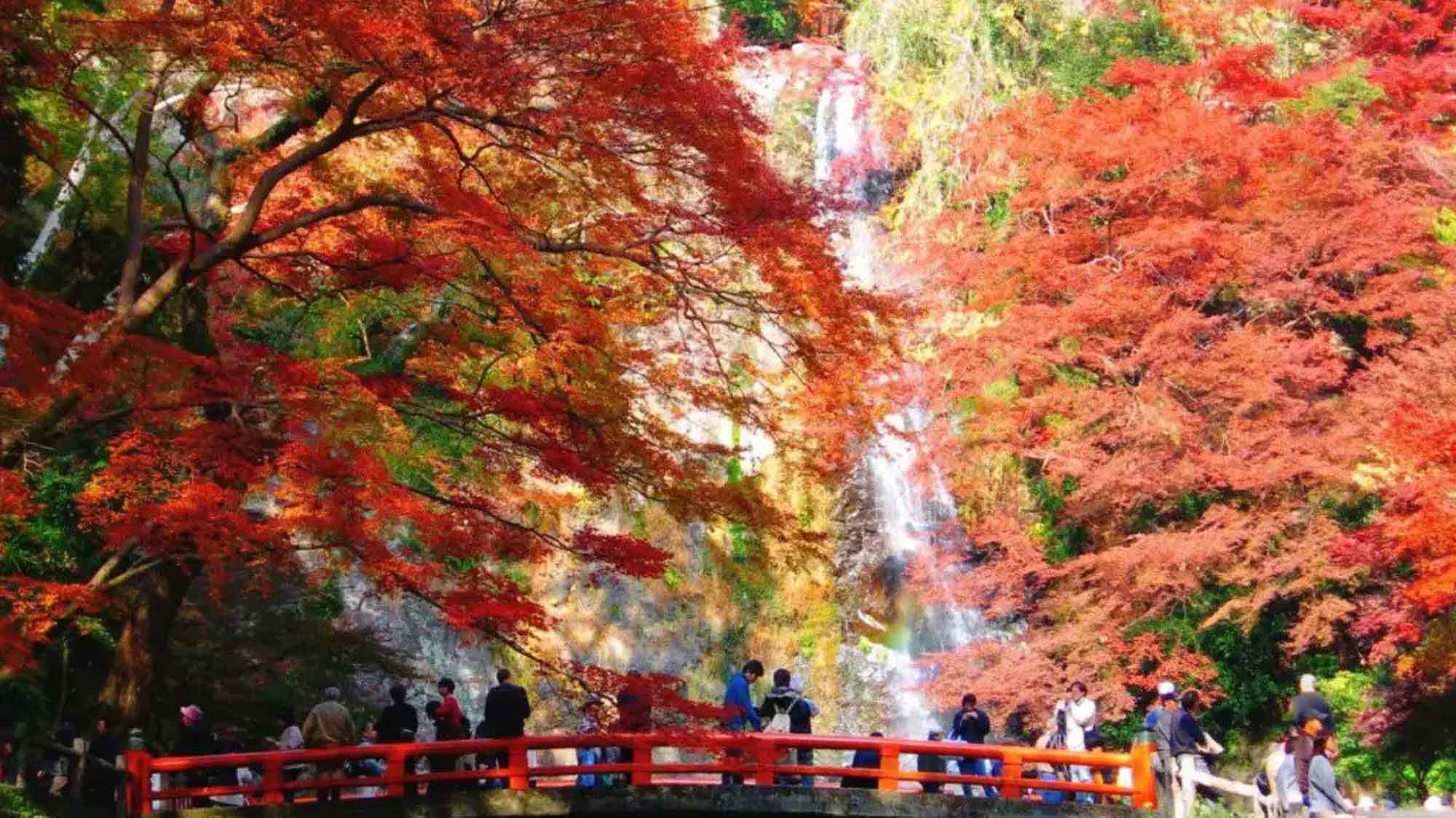 【箕面の滝】秋には紅葉で絶景パワースポット。人気の場所です。