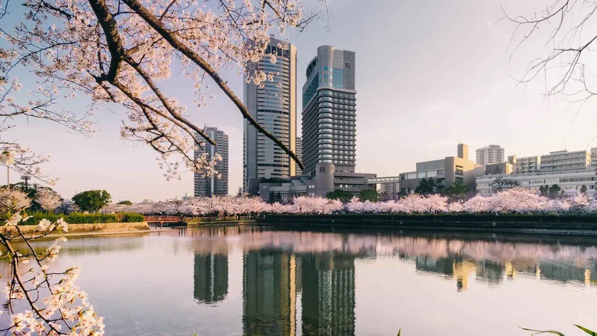 【桜の宮】春には桜が満開になる桜の名所。