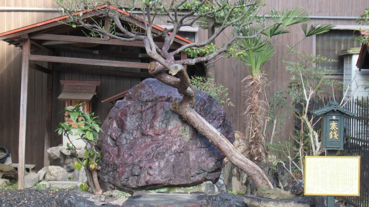 【観光におすすめ】京の歴史を歩いて辿る　観光ガイドツアー付宿泊プラン＜朝食付＞