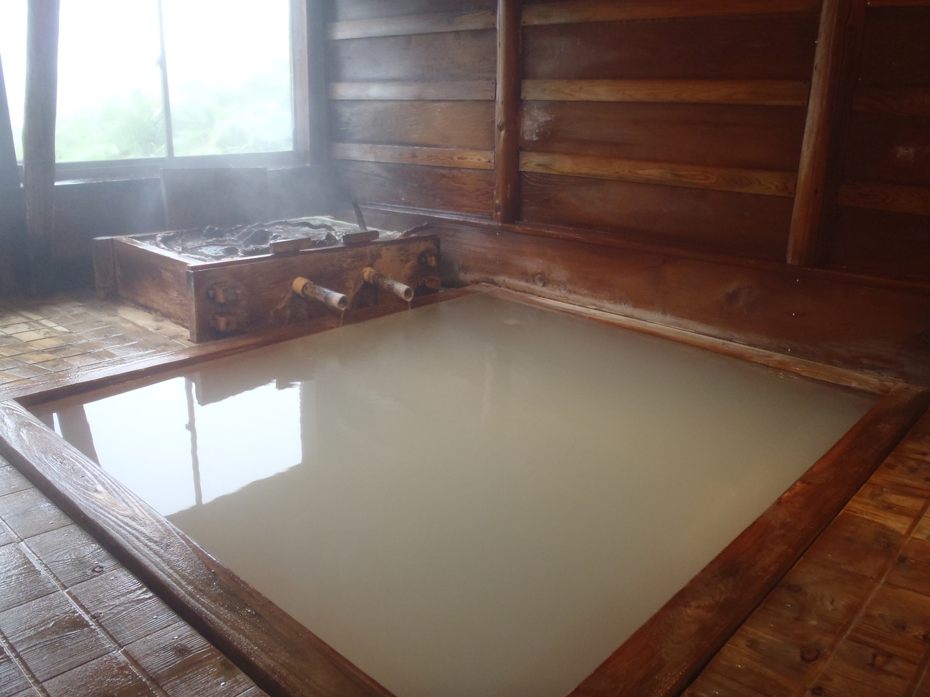 【1泊2食付】日本唯一のサルノコシカケ風呂をご堪能！万座温泉×サルノコシカケで薬効効果を体感！