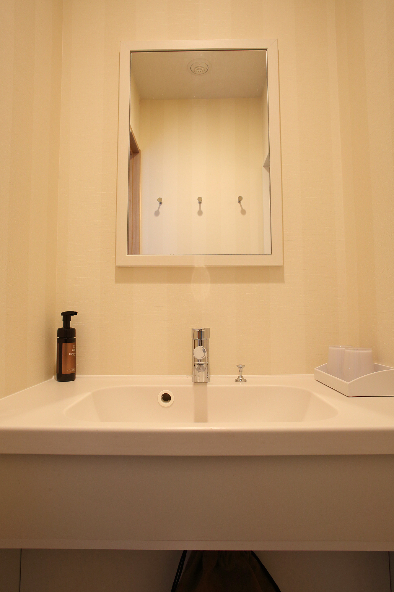 スタンダードツインルーム 洗面