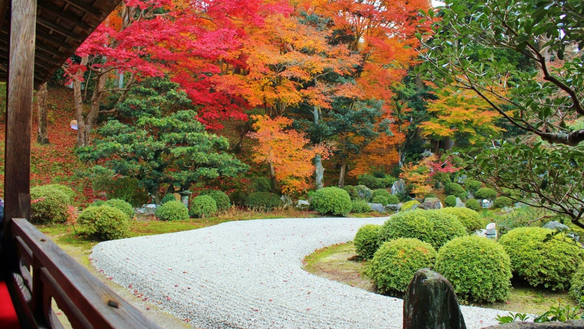 秋の曼殊院門跡