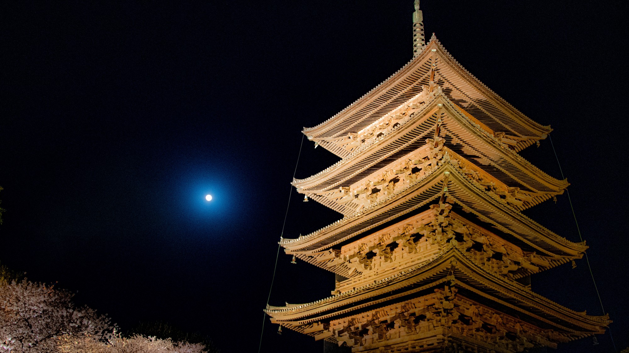 東寺（春の夜）