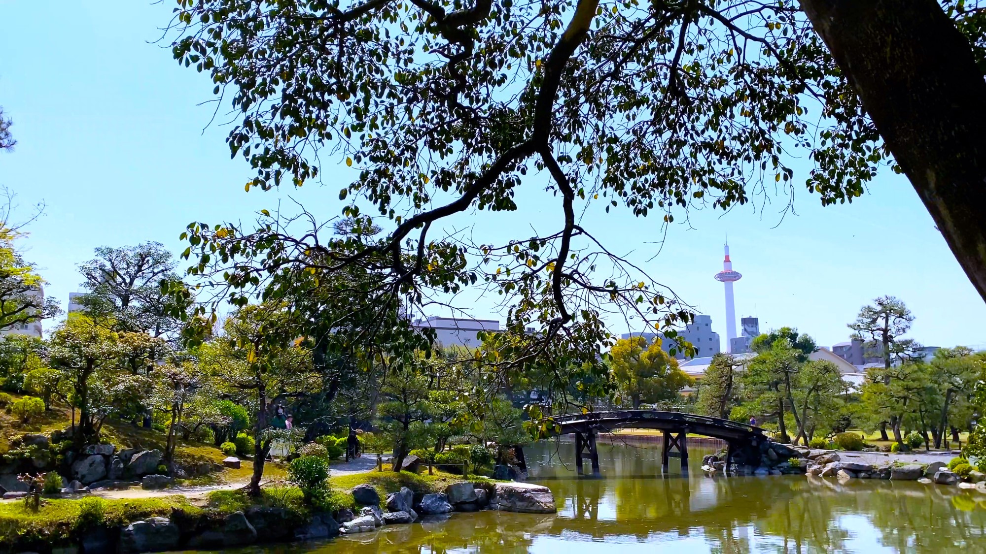 【徒歩15分】渉成園