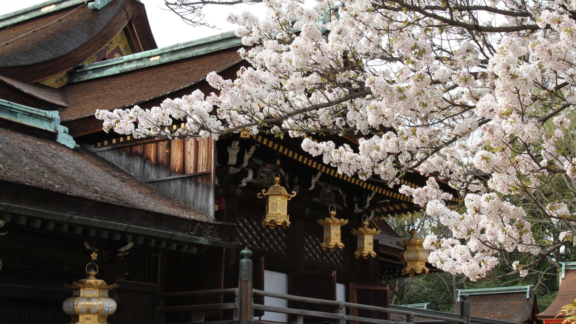 春の北野天満宮