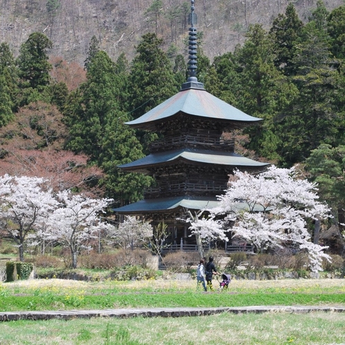 ■観光:安久津八幡神社と桜