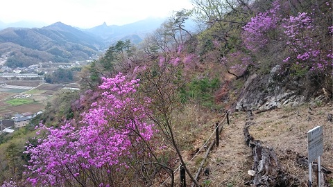 神成山ハイキング