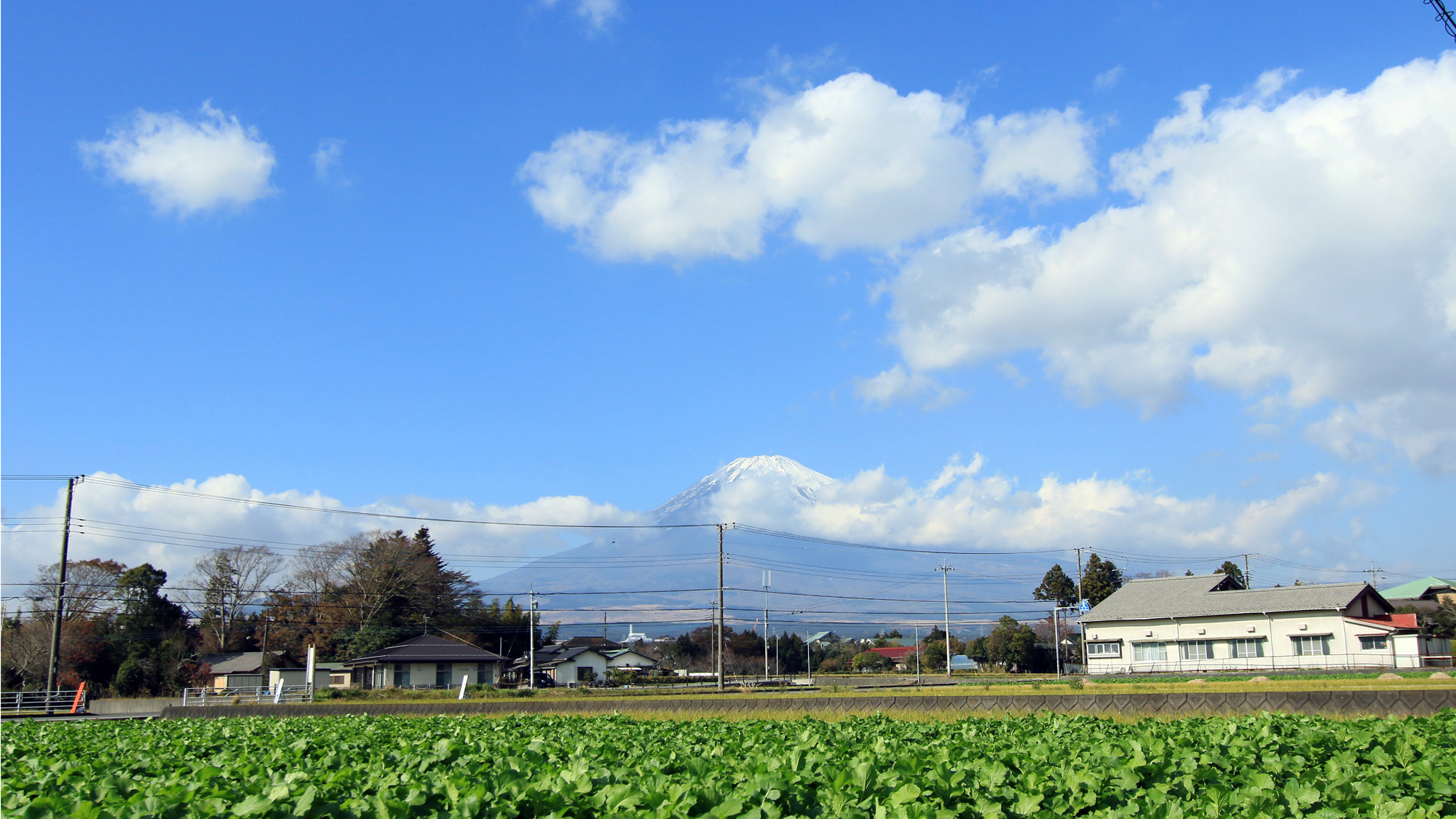 目の前の道路からは富士山も