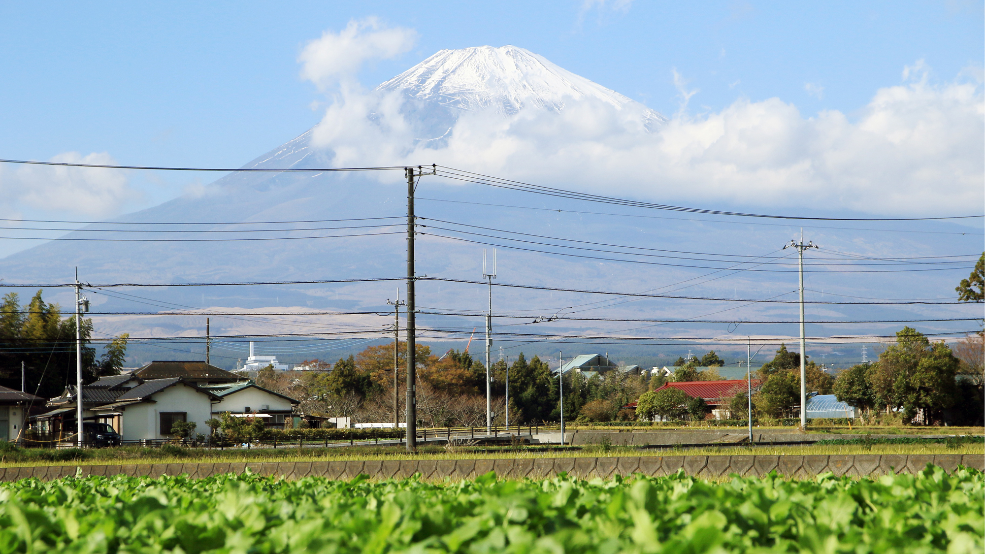 農家民宿 ねこふくろう(写真 2)