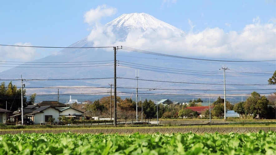 天気が良ければ富士山が真正面