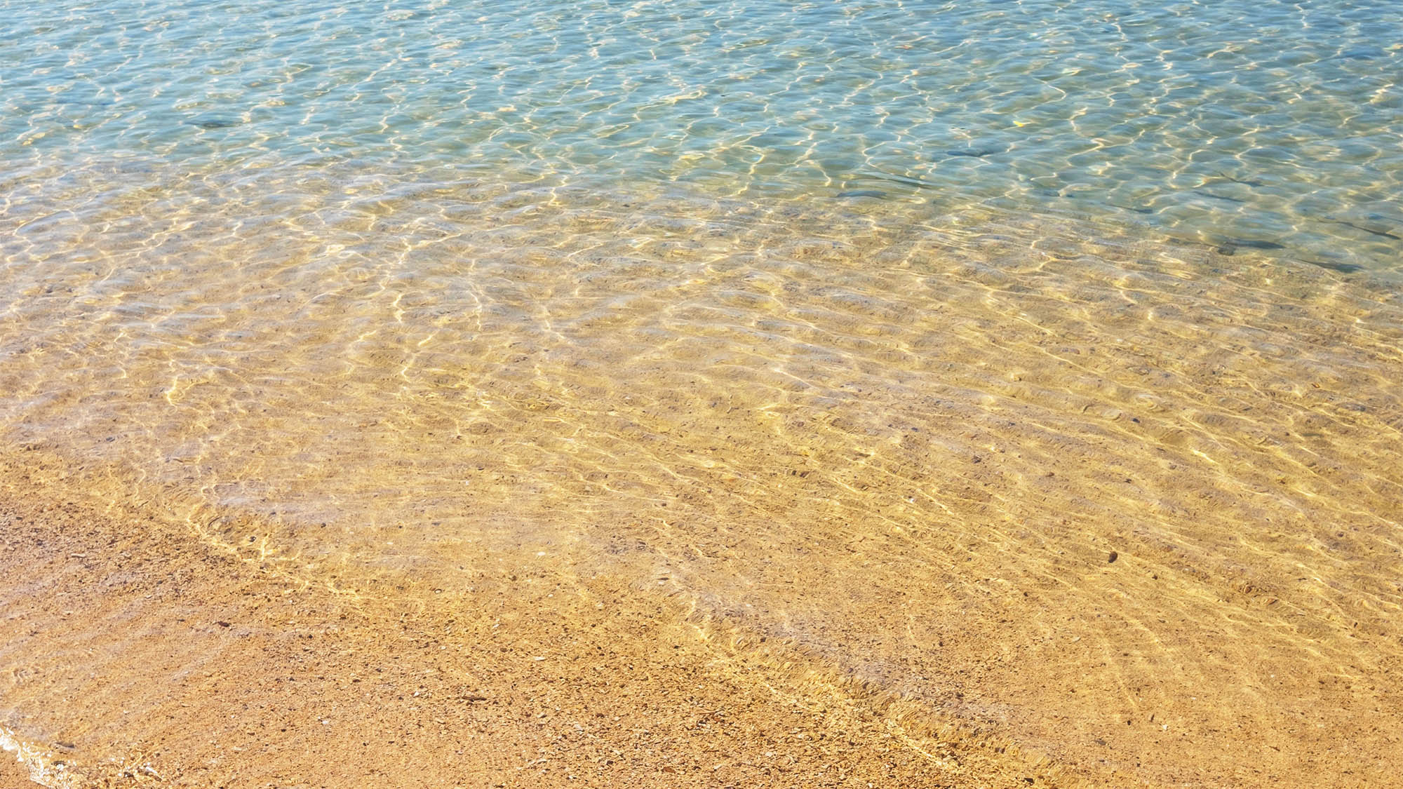 ・プライべートビーチ　とっても透明度の高い海が自慢です　