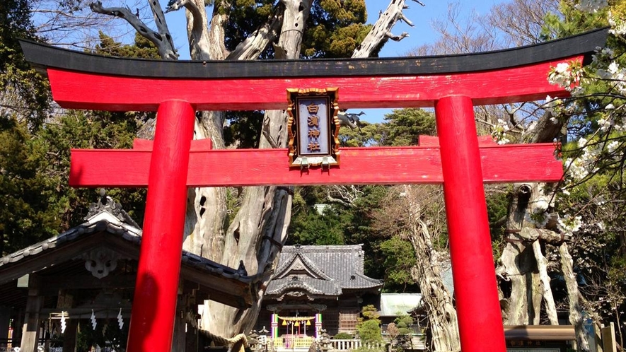 伊豆最古の神社は宿の目の前！運が良ければ夜には白浜太鼓の練習が聞けます。