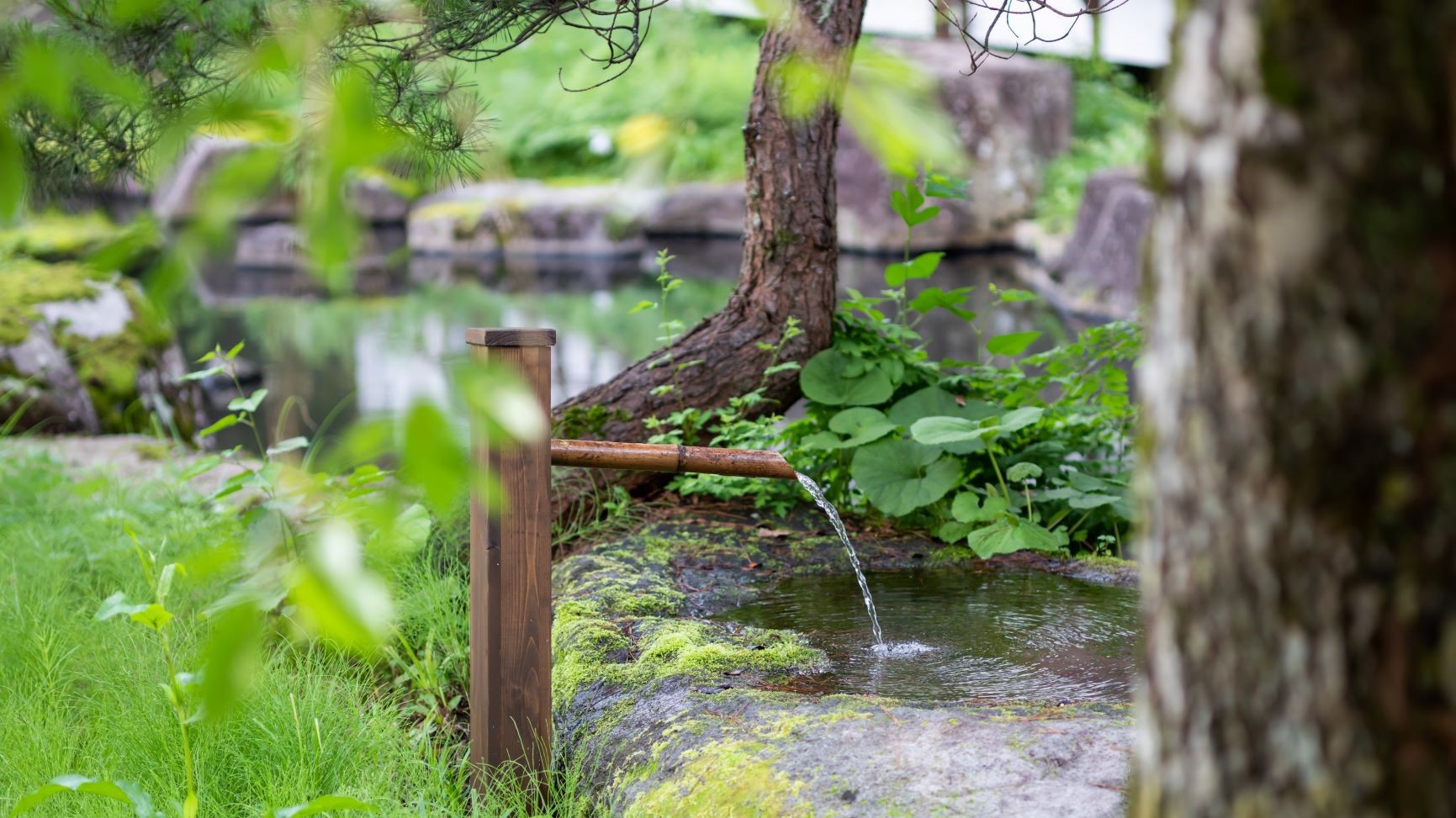 ◆【禁煙】《仙岳荘》庭園眺望