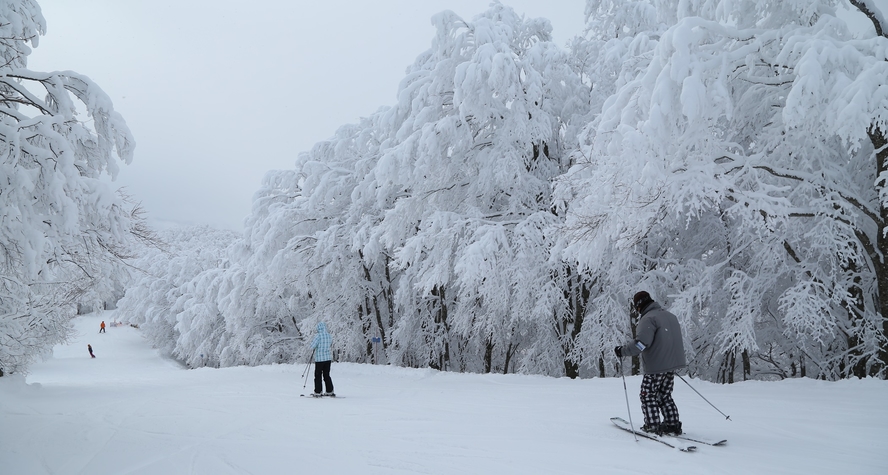 [スキー＆スノーボード]栂池高原スキー場徒歩5分