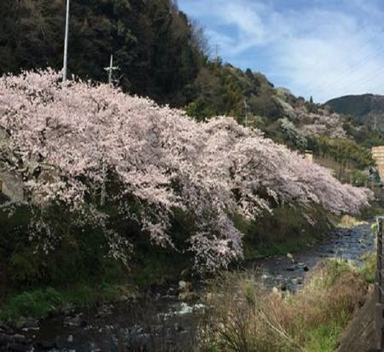 風景