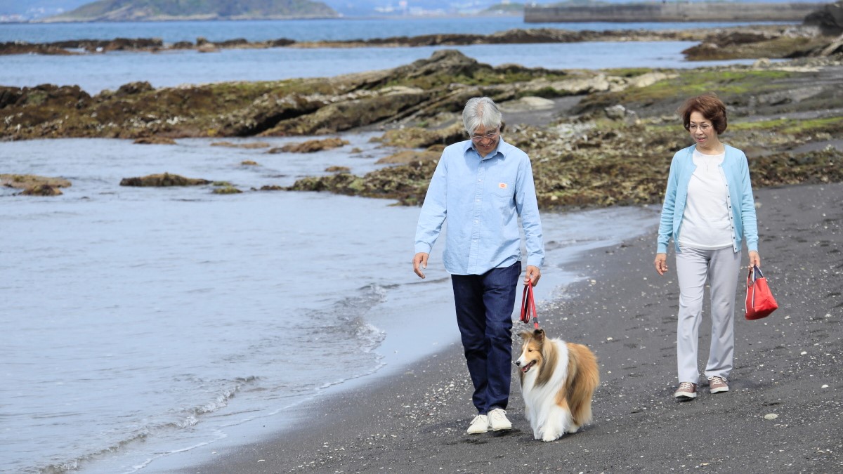 【見物海岸】海際のお散歩で心地いい時間をお過ごしください。