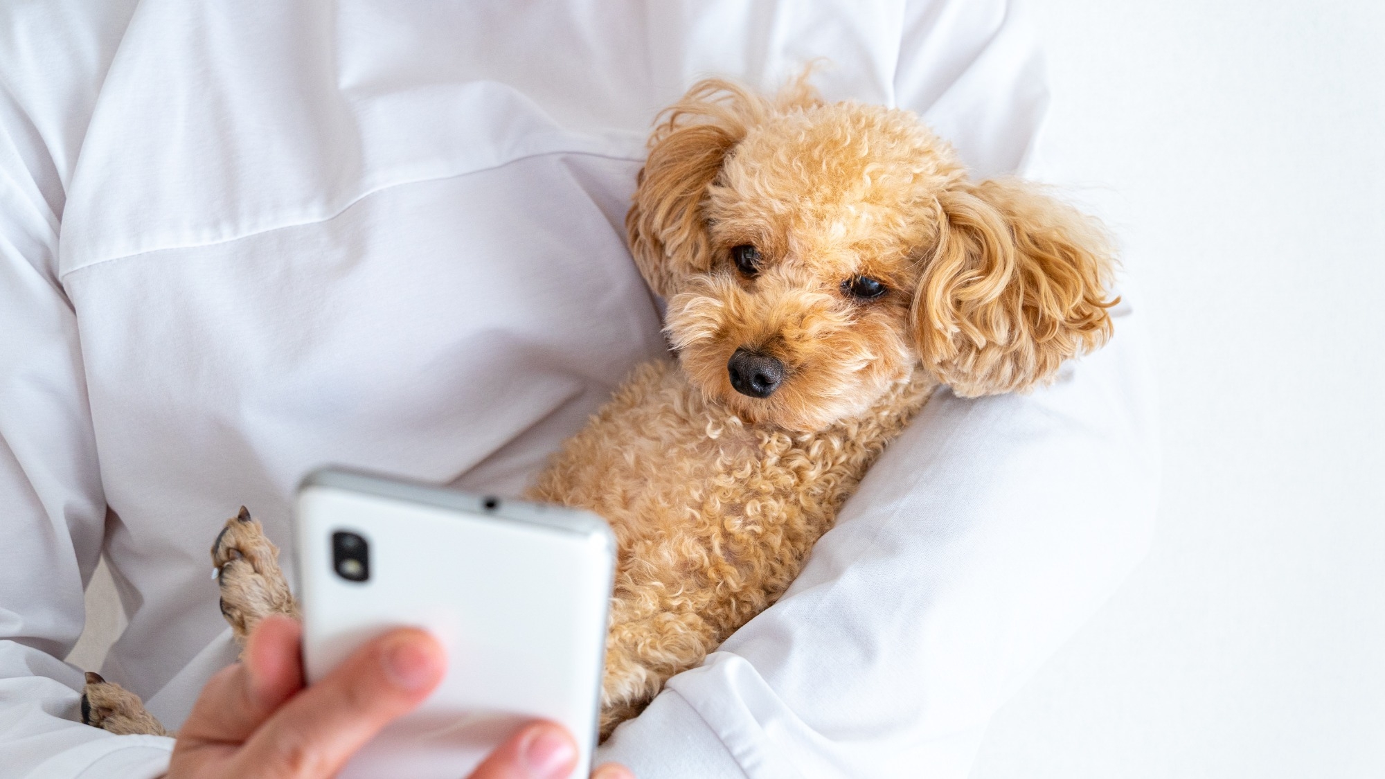 【楽天限定／わんちゃんおやつ付特典】滞在中の口コミ投稿でわんちゃん用おやつプレゼント♪／素泊まり