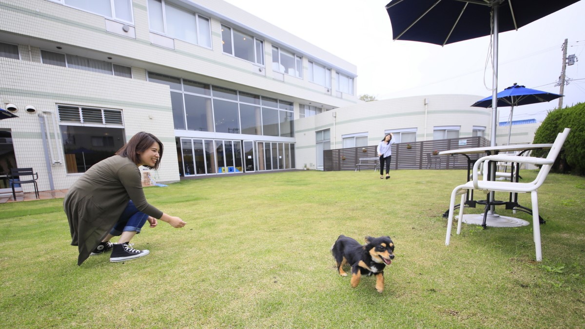 【タイムセール】専用アメニティ完備／ペットのためのリゾートで愛犬旅を満喫