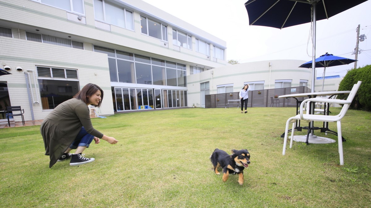 【さき楽】早めのご予約でお得！愛犬のための会員制リゾートを先取り