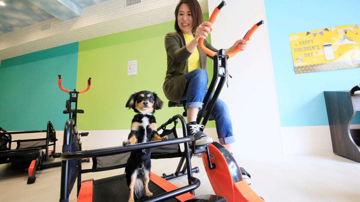 【タイムセール】専用アメニティ完備／ペットのためのリゾートで愛犬旅を満喫