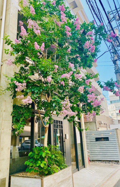 花門ホテル 瀬戸 宿泊予約【楽天トラベル】