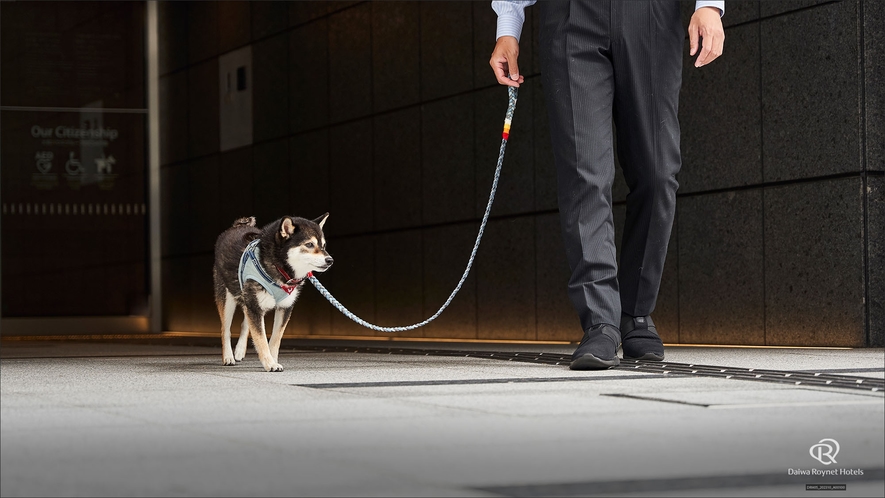 愛犬と心斎橋を散歩