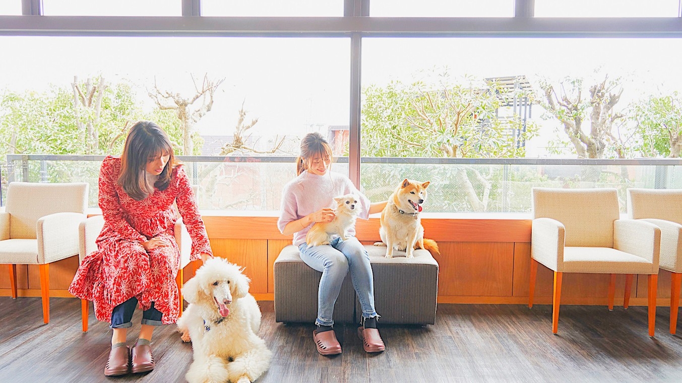 【スタンダードプラン】愛犬と過ごすリゾートライフ＜食事なし＞